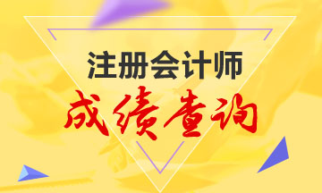 2020年海南注册会计师考试成绩查询