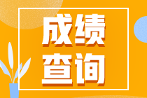 山东省2020年初级会计成绩查询时间为何时？