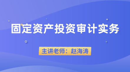 固定资产投资审计实务