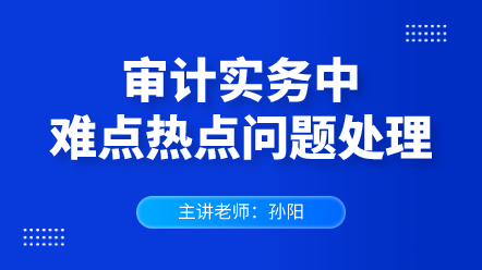 审计实务中难点热点问题处理