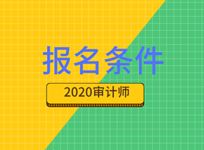 2020年国际内部审计师报考条件都有什么要求？