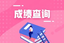 审计师考试成绩查询