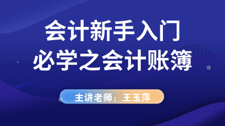 会计新手入门必学之会计账簿 (1)