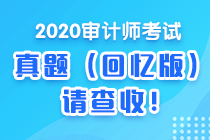 2020中级审计师《审计专业相关知识》试题及参考答案(考生回忆)