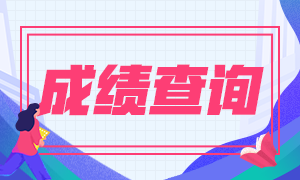 河南平顶山2020年会计中级考试成绩查询时间