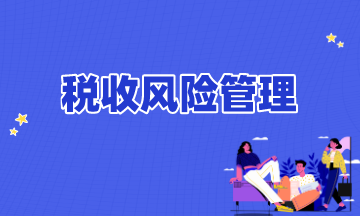 税收风险管理