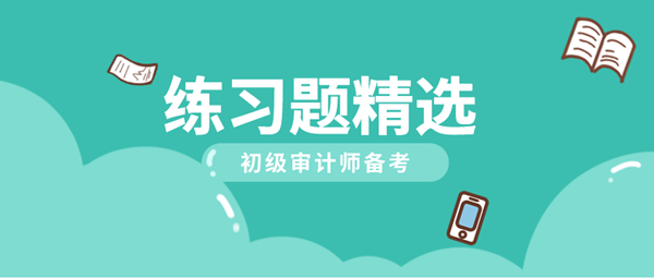 2021初级审计师《审计理论与实务》练习题精选