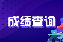2020年11月基金从业资格考试成绩查询官网