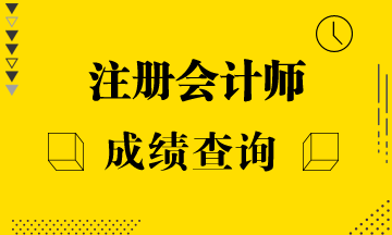 2020年上海注册会计师成绩查询时间