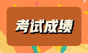 云南2020年审计师考试成绩查询入口开通！