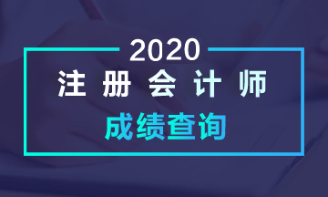 山西2020年CPA成绩查询时间