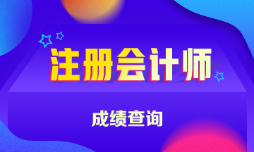 江西省2020年注册会计师成绩查询时间