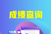 上海中级会计成绩查询入口官网2020是什么