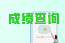 河南郑州中级会计成绩查询入口官网2020