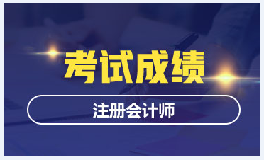 2020年上海注册会计师成绩查询