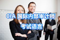 考试语言