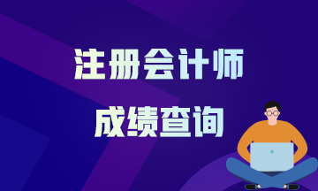 2020年河南郑州注册会计师的成绩查询时间公布了吗？