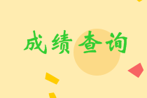 税务师成绩查询2