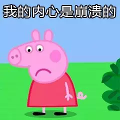 注会成绩出来了！炸炸炸锅了！！！