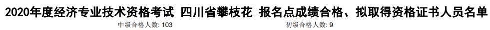 攀枝花2020年初中级经济师考试合格人数