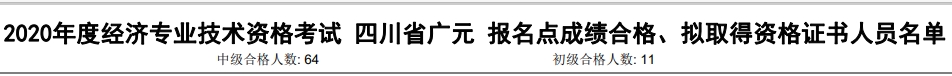 广元2020年初中级经济师考试合格人数