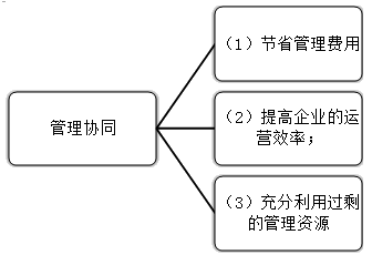 2021高会《高级会计实务》考试知识点：发挥协同效应