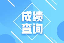 审计师成绩查询信息