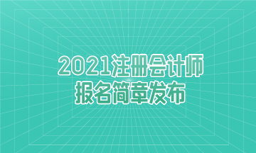 重大消息：2021年注册会计师报名简章发布