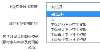 中级专业技术资格