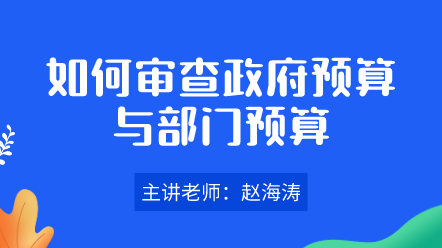 如何审查政府预算与部门预算