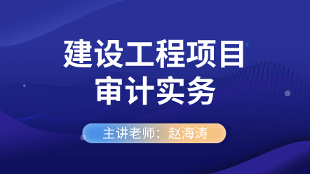 建设工程项目审计实务