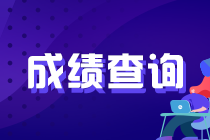 4月证券考试出成绩了？怎么查询？