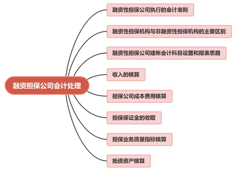 金融公司财务人员必看！融资担保公司会计处理