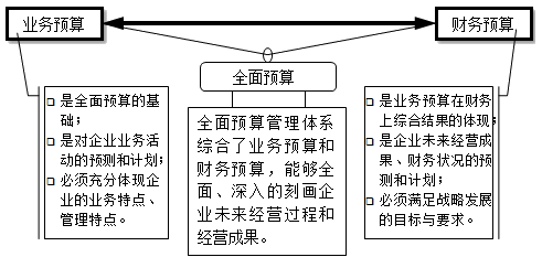 什么是全面预算？