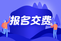 2021注会报名交费最后2天 还未交费成功的看这里！
