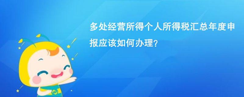 多处经营所得个人所得税汇总年度申报应该如何办理？