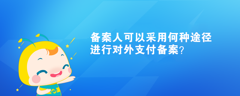 备案人可以采用何种途径进行对外支付备案？