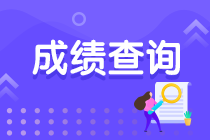 审计师考试成绩查询