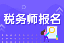 税务师报名网址