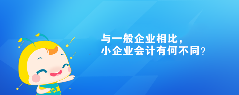 与一般企业相比，小企业会计有何不同？