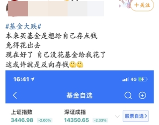 #基金大跌#买啥亏啥！今天的你“绿”了吗？