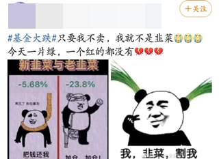 #基金大跌#买啥亏啥！今天的你“绿”了吗？