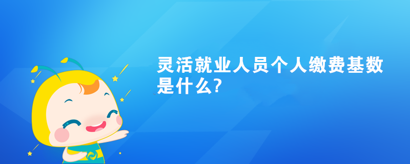 灵活就业人员个人缴费基数是什么?