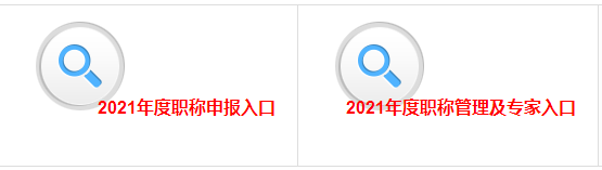 2021年江西高级会计职称评审申报入口