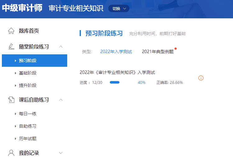 审计师1