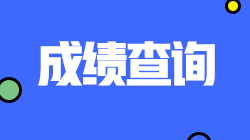四川注会查分入口将于11月开通！