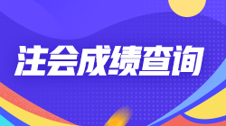 青海2021CPA考试在几月份查询成绩？