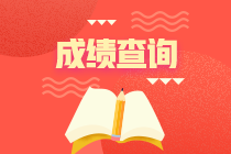 税务师考试往年查分入口都是哪里？