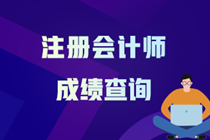 山东省cpa考试成绩有效期是多久？