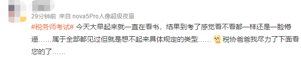 税务师